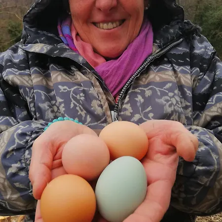 Séjour à la ferme Cebon