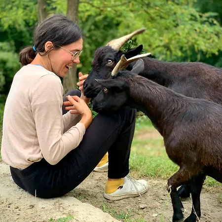 Séjour à la ferme Cebon *
